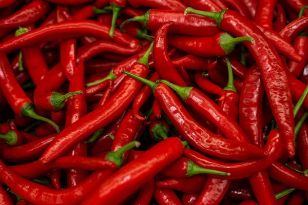 Food & Drink Manufacturing